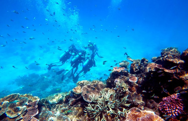 Scuba Diving in a coral reef