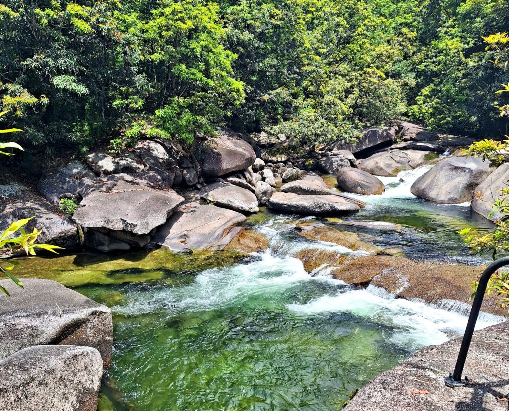 water stream in a forest